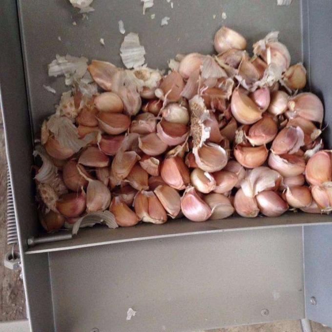 High Output Dry Garlic Peeling Machine Electric Garlic Clove Separating Machine 1