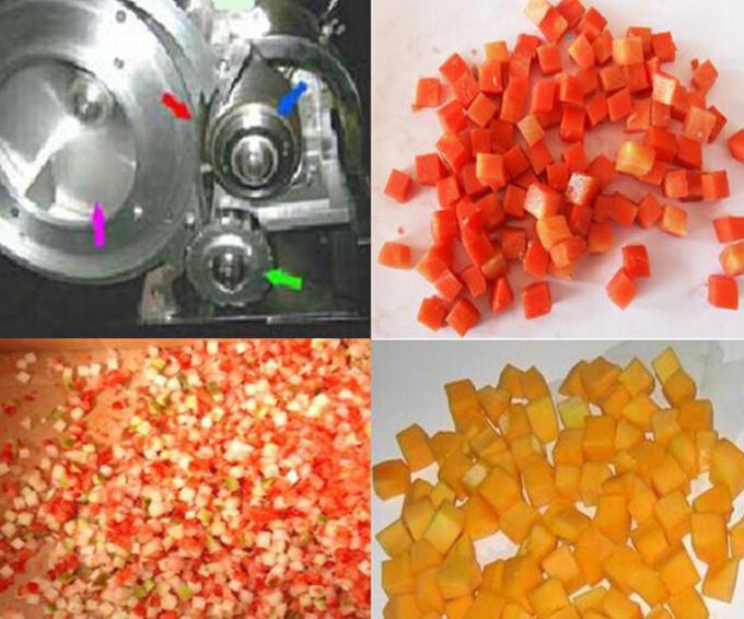 QD-600 Fruit And Vegetable Processing Machinery / Commercial Vegetable Cutting Machine 1