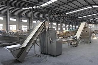 High Processing Speed Dry Garlic Peeling Machine 300kg/H Large Scale