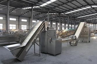 China High Processing Speed Dry Garlic Peeling Machine 300kg/H Large Scale factory