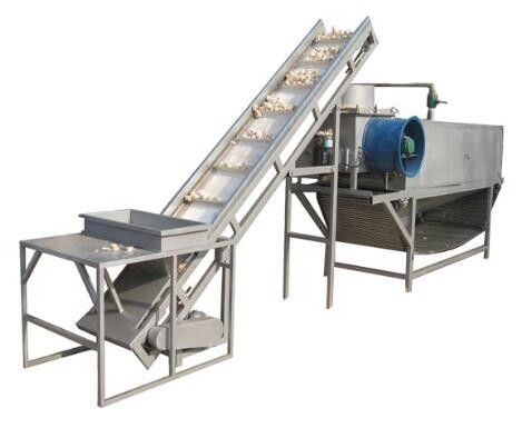 China 1200kg/H Large Capacity Garlic Separating Machine Garlic Powder Production Lline factory